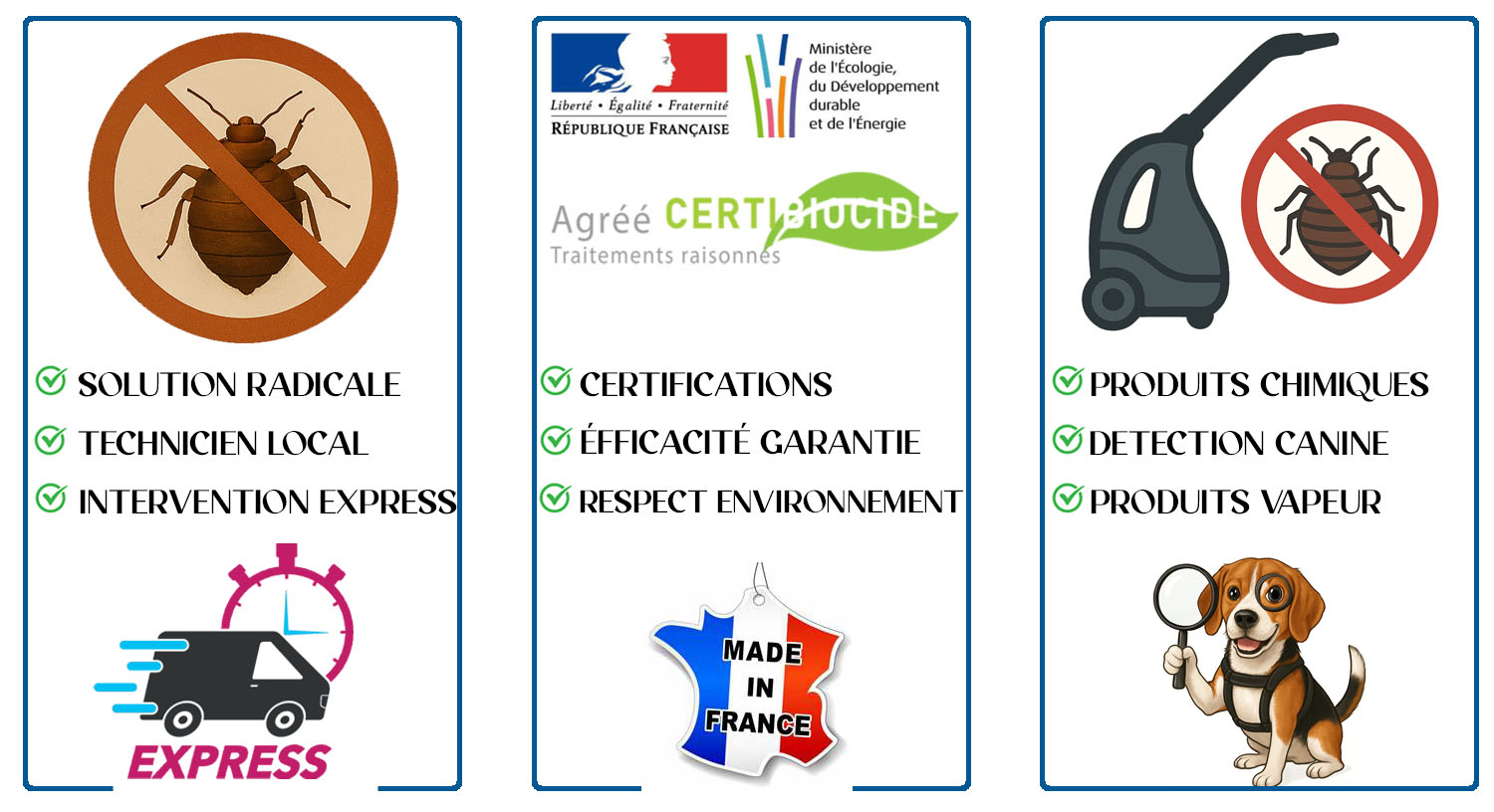 Punaises de Lit Gambaiseuil 78490